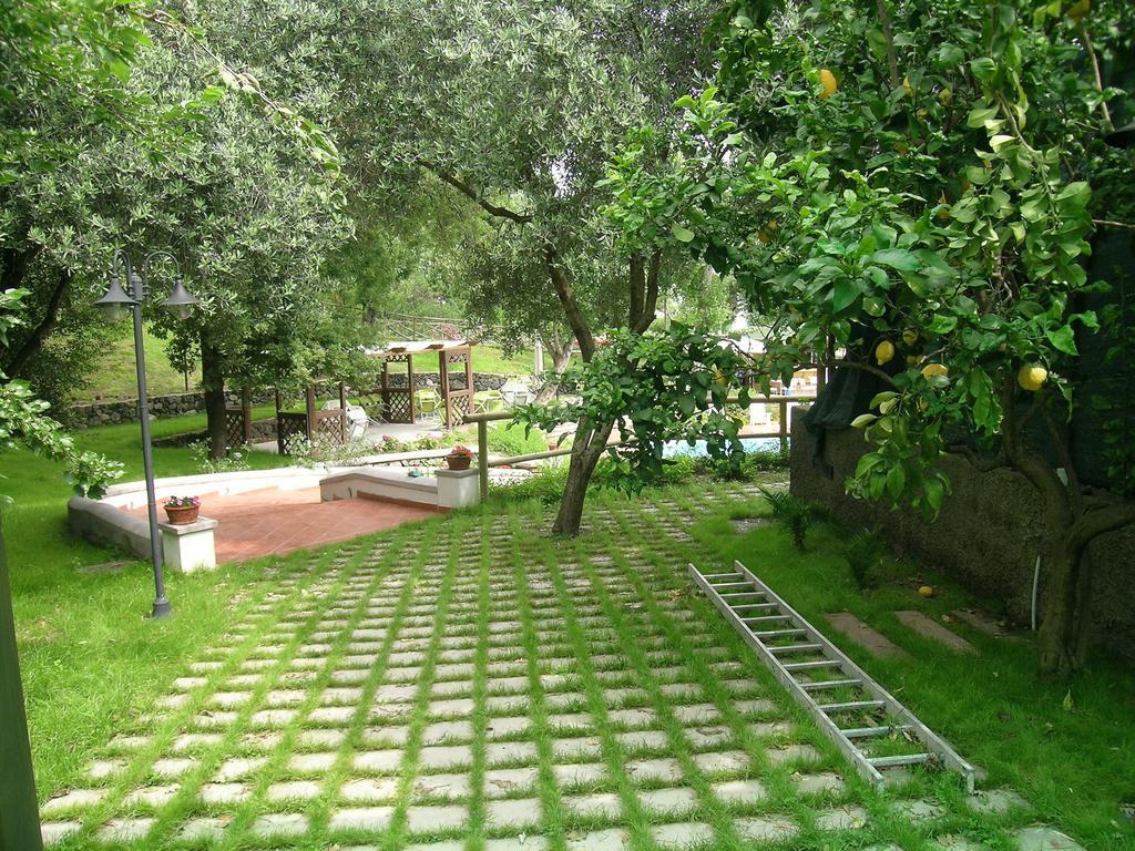 Residence Aegidius Ischia Room photo